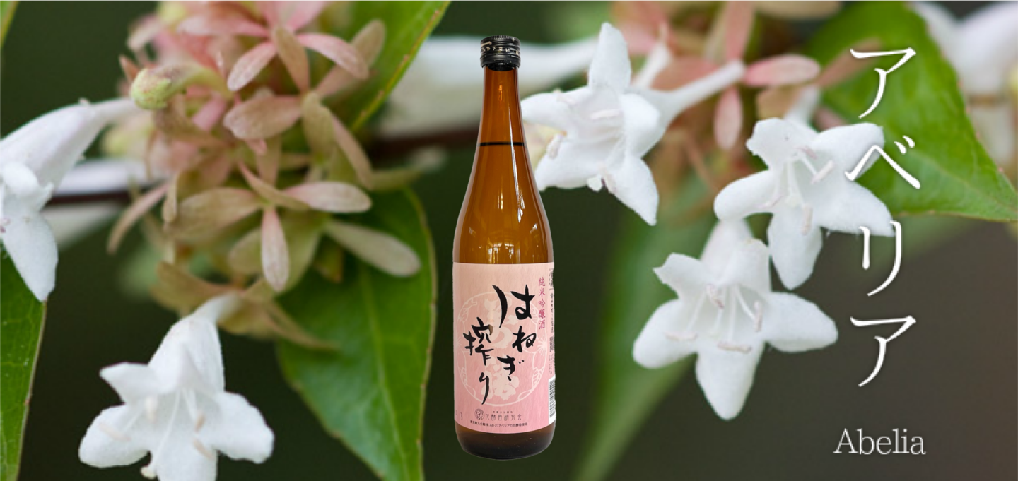 純米吟醸酒　はね木搾り